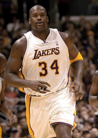 家队体系的 家队体系的